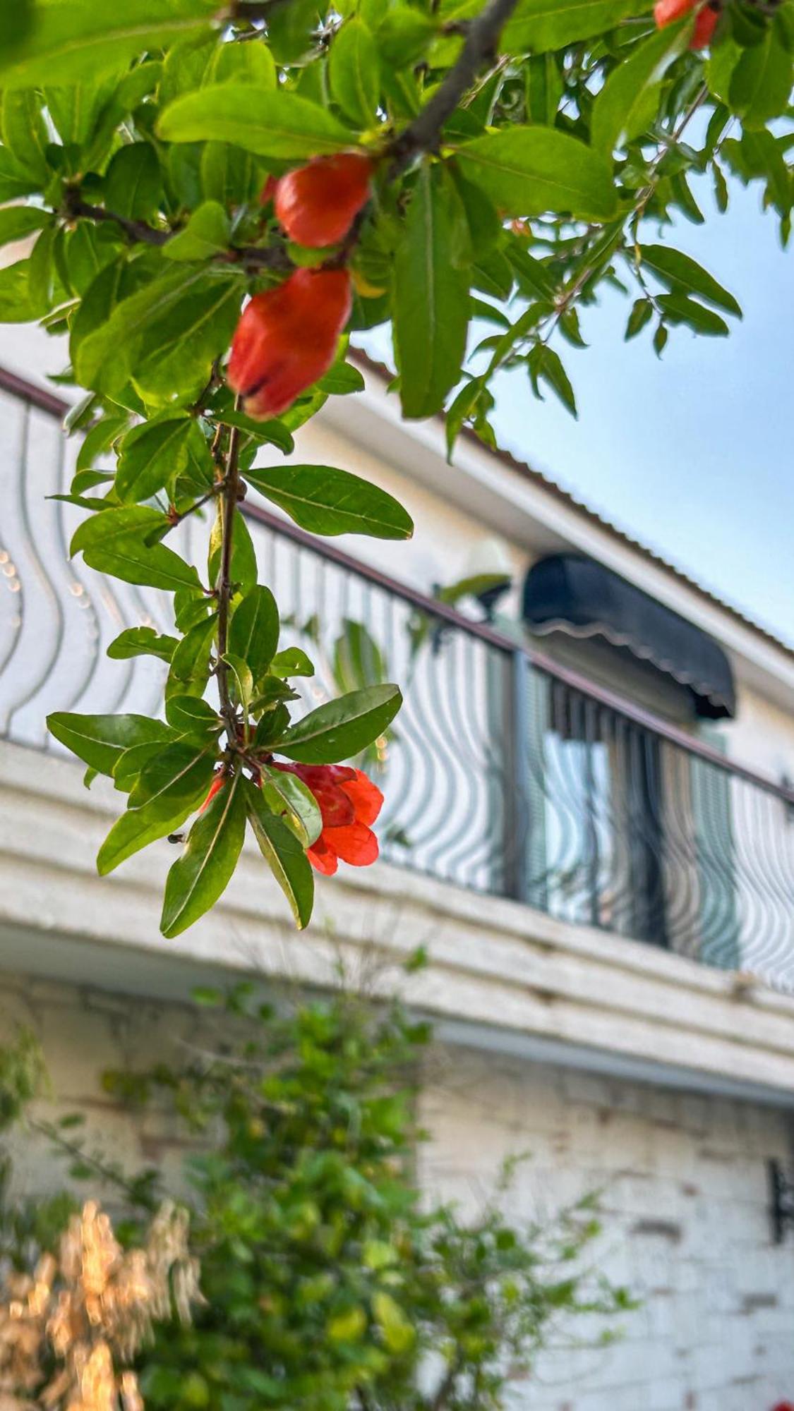 N Hotels Cesme Dalyankoy  Exterior photo
